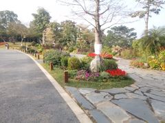 -东莞植物园