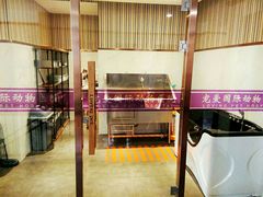 -宠爱国际动物医院· 猫科· 外科·中兽医(长白店)