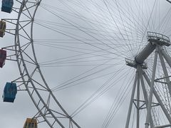 -上海野生动物园