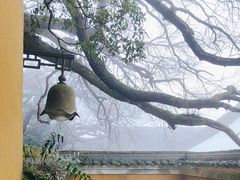 -普陀山风景区-佛顶山