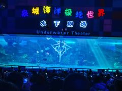 -泉城欧乐堡海洋极地世界