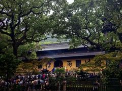 -普陀山风景名胜区-法雨禅寺