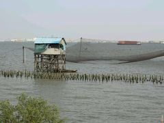 android_upload_pic-海鸥岛