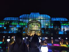 -大塘金香草谷