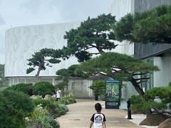 -罗红摄影艺术馆