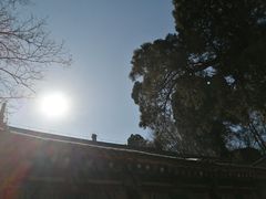 -少华山国家森林公园