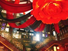 -奔跑吧乐园