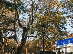 -八大关景区