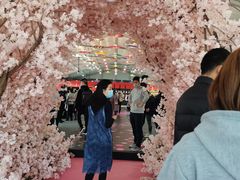 -节节香.成都非遗肥肠粉(总店)