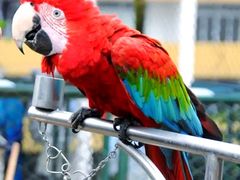 -丹江渔村(望京店)