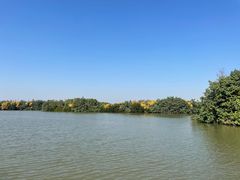 -大湾区中央湿地公园