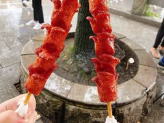 -黑色经典臭豆腐·湖南特产(坡子街店)