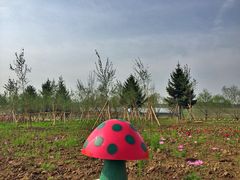 北纬44度·金珠花海景区-北纬44度·金珠花海休闲农业旅游景区