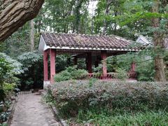 -紫霞湖公园