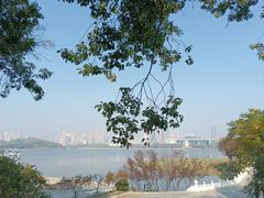 -月湖风景区