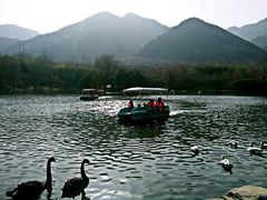 -西安秦岭野生动物园