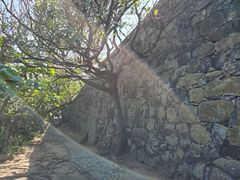 -东澳岛