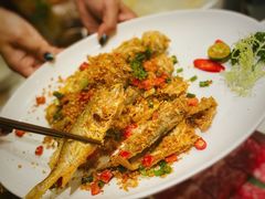 -協成海鮮火鍋(老店)