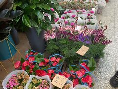 -好伦哥比萨烤肉自助(八里桥店)