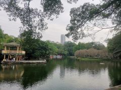 -晓港公园