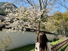 -黄公望隐居地