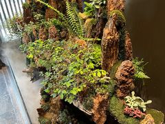 -梅间堂茶馆(绿地缤纷城店)