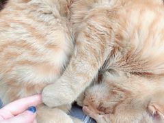 -安徽工业大学(秀山校区)