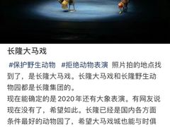 -广州长隆国际大马戏