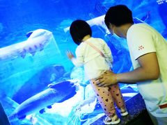 -乌鲁木齐海洋馆