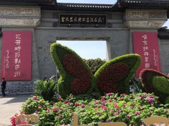 -合肥三国新城遗址公园