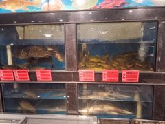 -白洋淀灶台鱼(名佳花园店)
