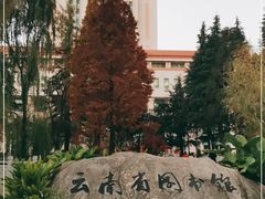 -云南省图书馆