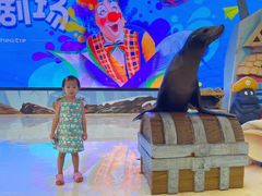 -三亚海昌梦幻海洋不夜城