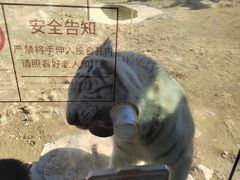 -济南野生动物世界