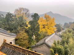 -潭柘寺景区