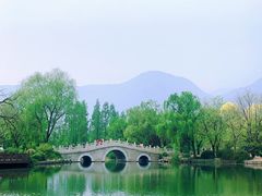 -国家植物园