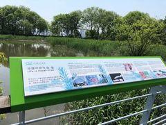 -西湖风景区-江洋畈生态公园