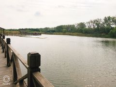 -溱湖国家湿地公园