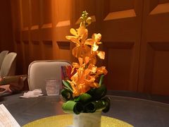-A One Kitchen·南京精菜馆(德基广场店)