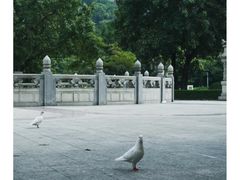 -顺峰山公园