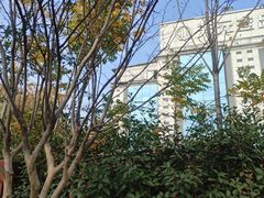 -金御沐足·影院式足道(新城店)