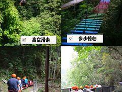 -龙岩森林水乡景区