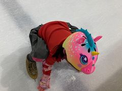 -冠军冰场CHAMPION RINK(百联又一城店)