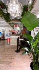 -北京早晨全家福照相馆(人民美术文化园店)