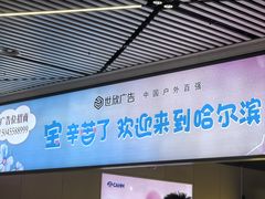 -哈尔滨太平国际机场-T2航站楼