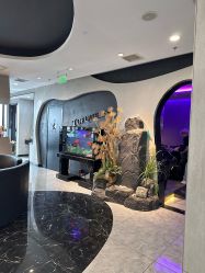 -TOP HAIR SALON