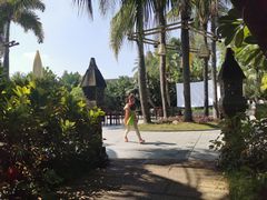 -厦门日月谷温泉渡假村