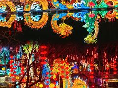 -淄博花灯齐彩城