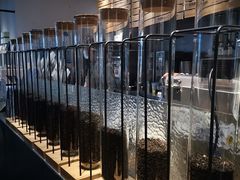 -喜茶(上海兴业太古汇店)