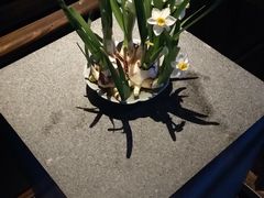 -法云安缦酒店